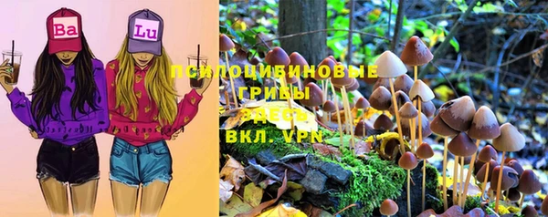 дмт Зеленодольск
