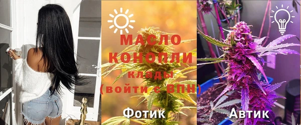 дмт Зеленодольск