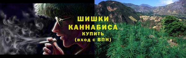 хмурый Карпинск